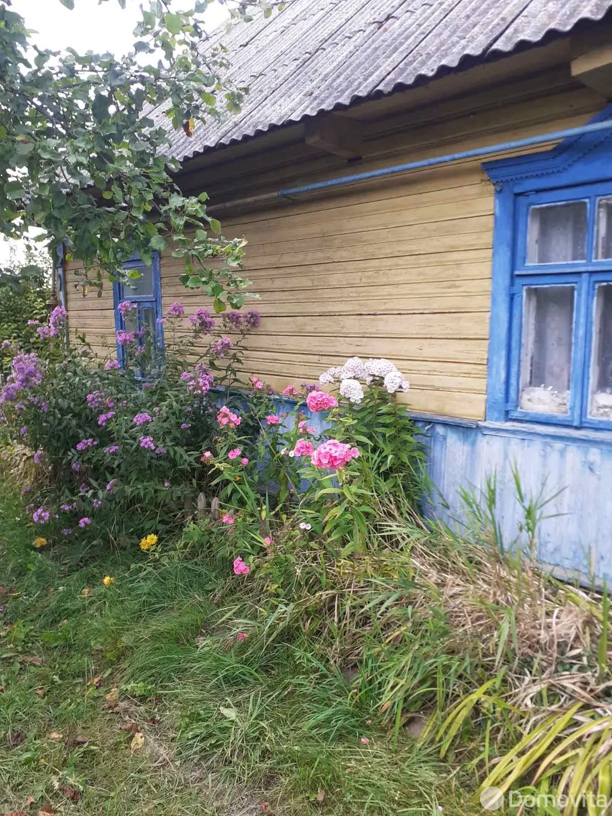 дом, Лука, без посредников