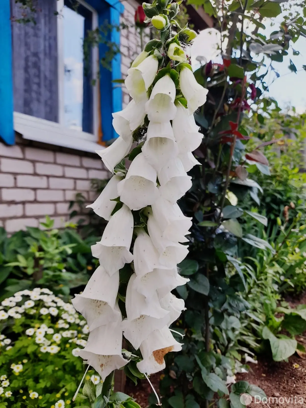 Цена продажи коттеджа, Великий Лес, 