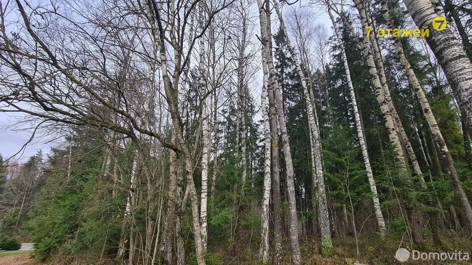 Купить земельный участок, 10 соток, МАЛИНОВКА-2001, Минская область, 51500USD, код 571234 - фото 24