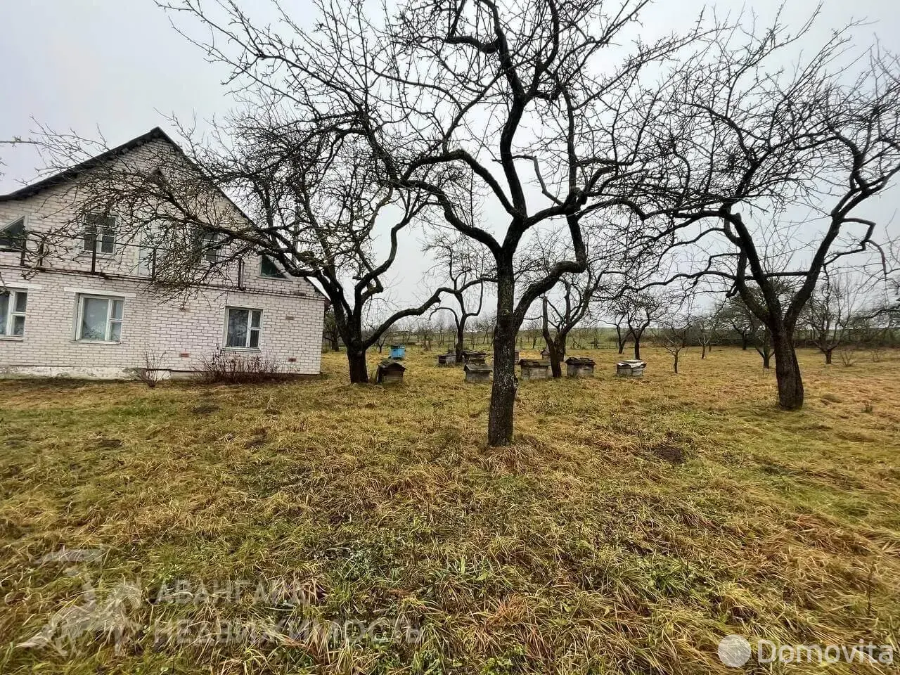 дом, Мозоли, 