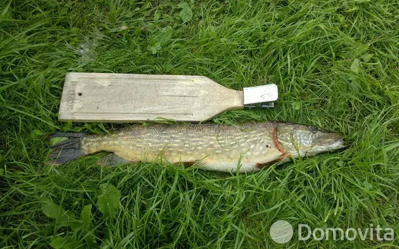 Купить помещение под сферу услуг в Колоднице, ул. Центральная, д. 108 - фото 26