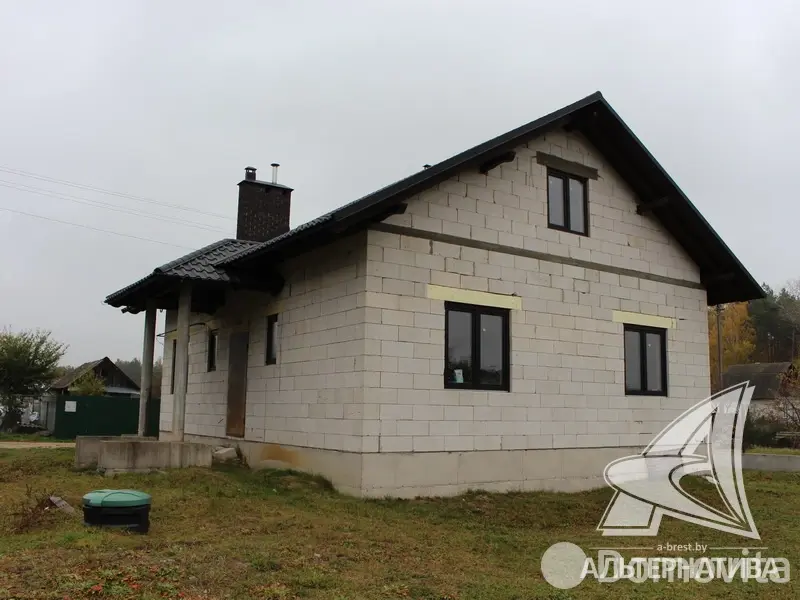 дача, Источник Брестского района, 