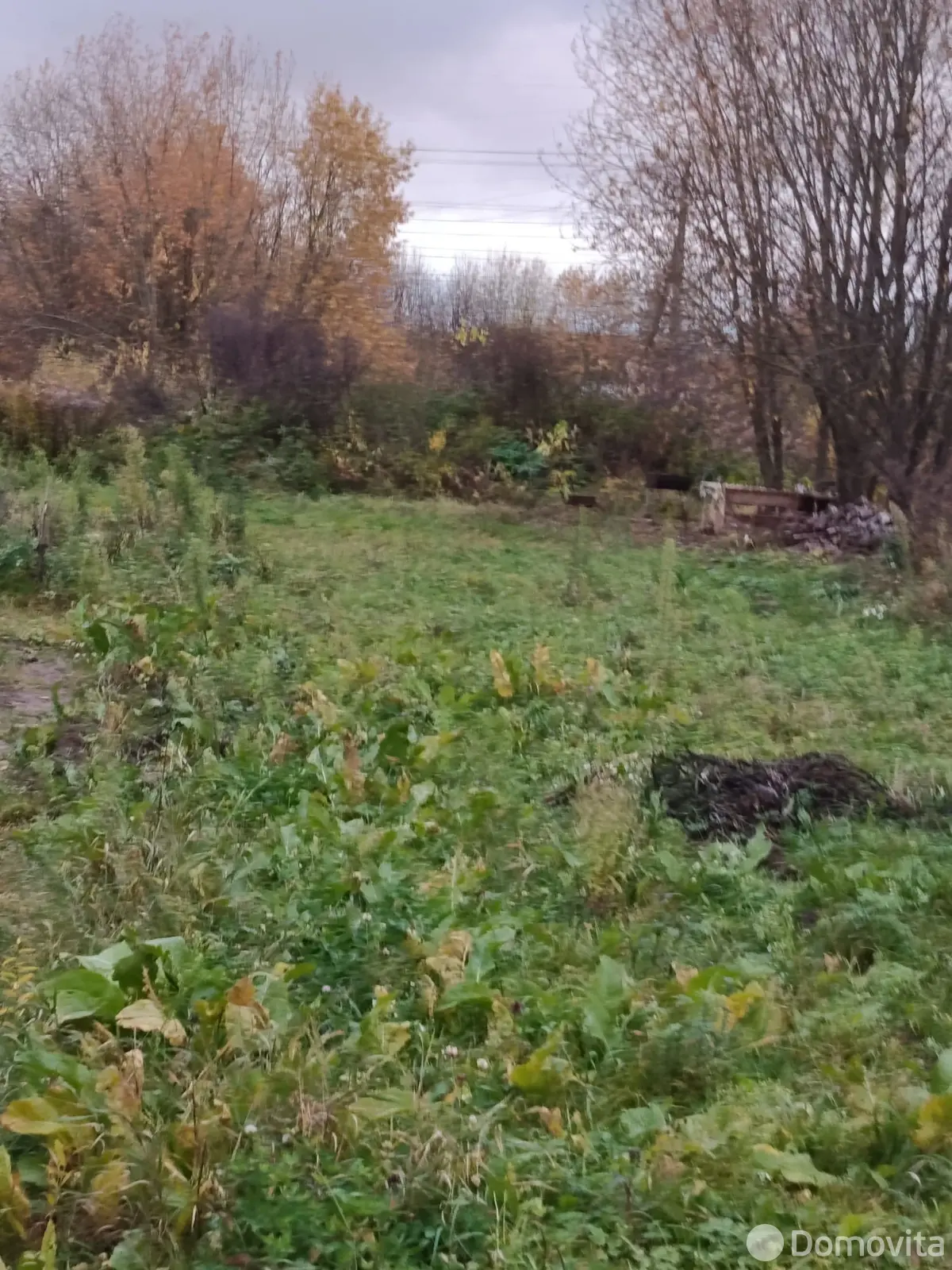 участок, Витебск, ул. 1-я Янопольская, д. 38