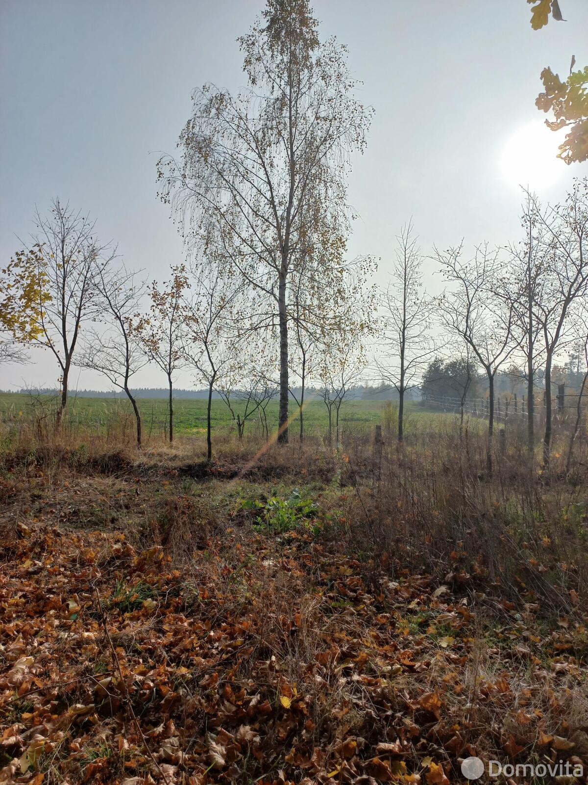 Продажа 3-этажной дачи в Свислочь-Караваево Минская область, 63835BYN, код 176659 - фото 26