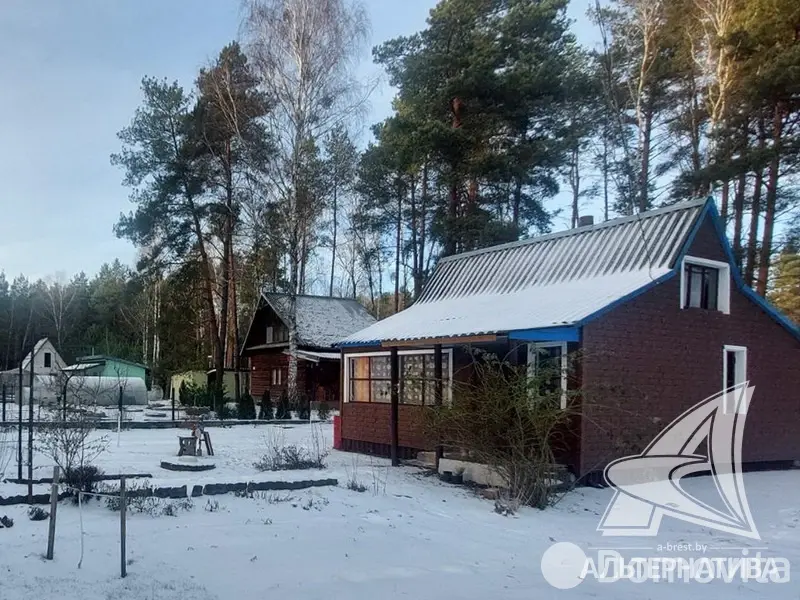 Стоимость продажи дачи, Лира-5, 