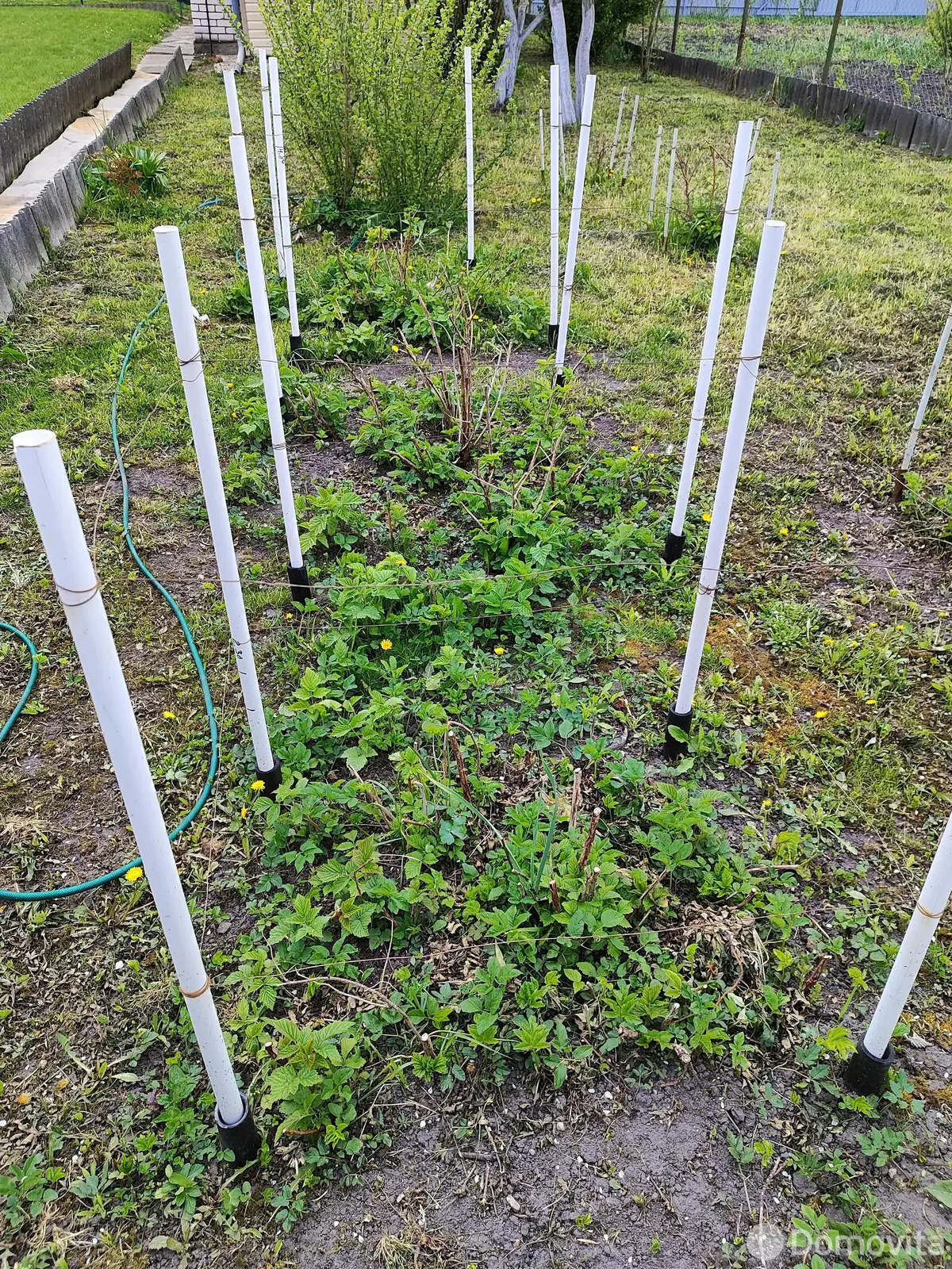 Купить 1-этажную дачу в Здоровье-95 Минская область, 12000USD, код 182592 - фото 16