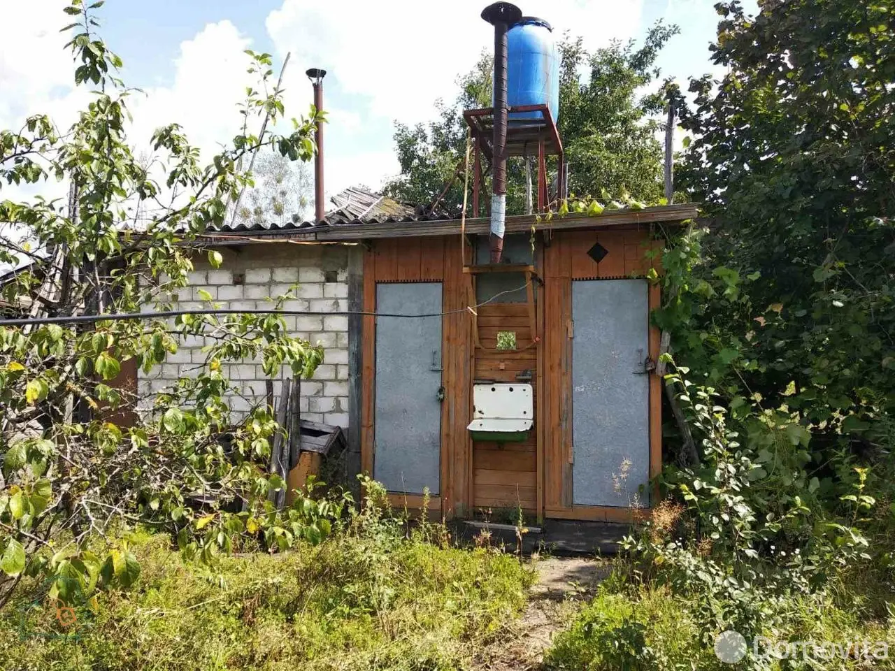 дача, Репка, 