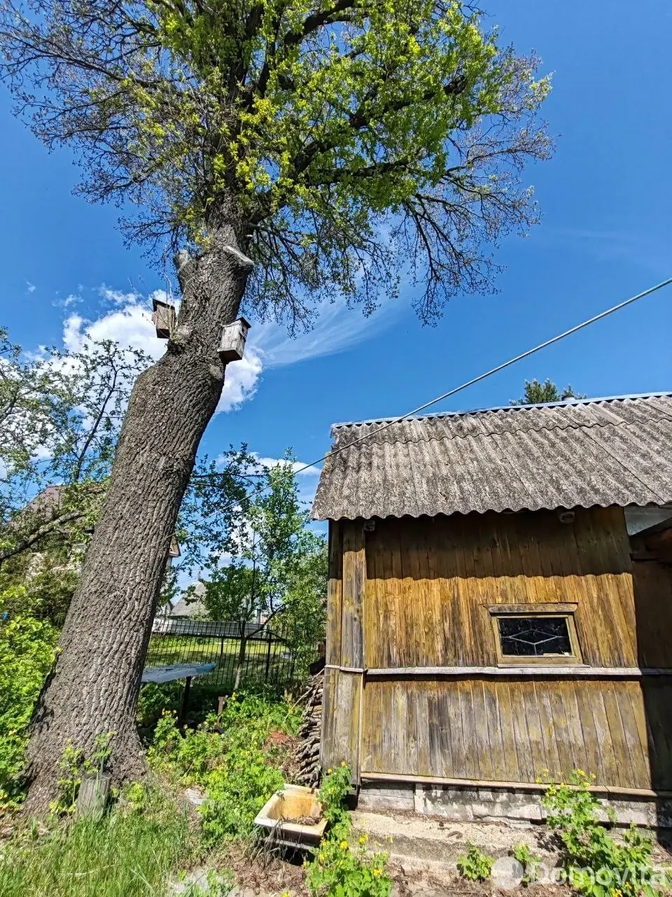 Купить 3-этажную дачу в Октябрьское Витебская область, 15000USD, код 184459 - фото 11