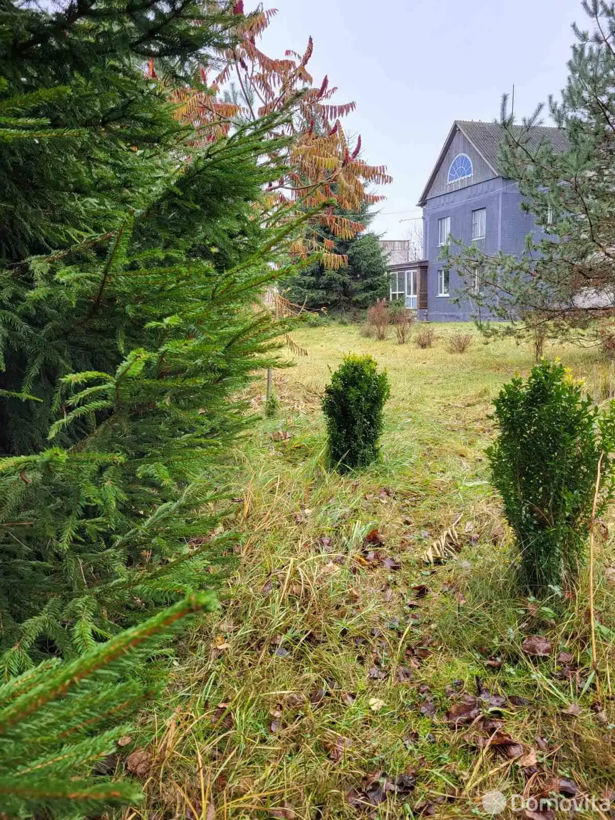 дом, Жабичи, ул. Солнечная 