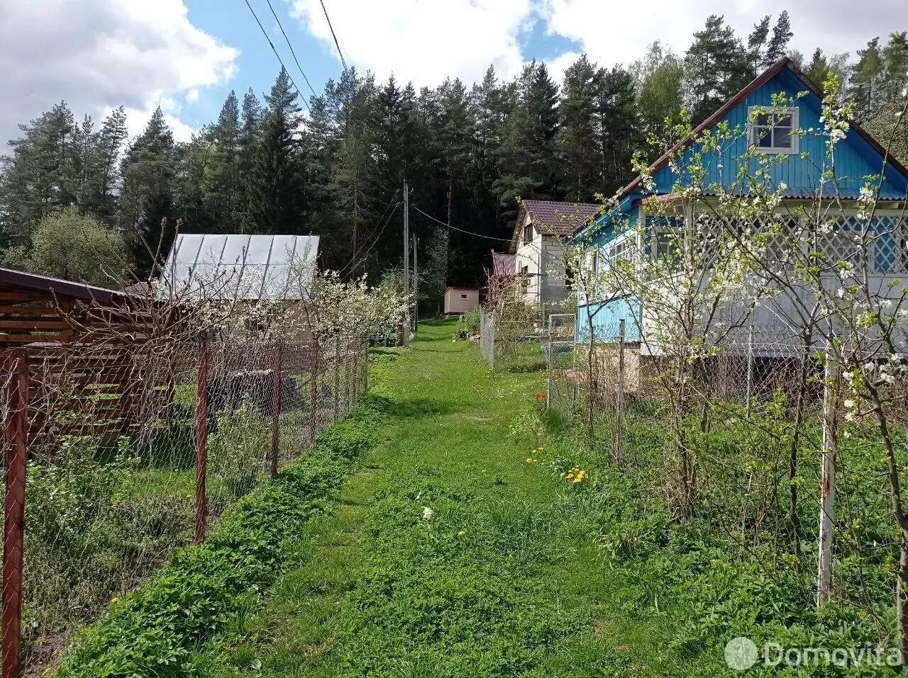 дача, Зорька, 