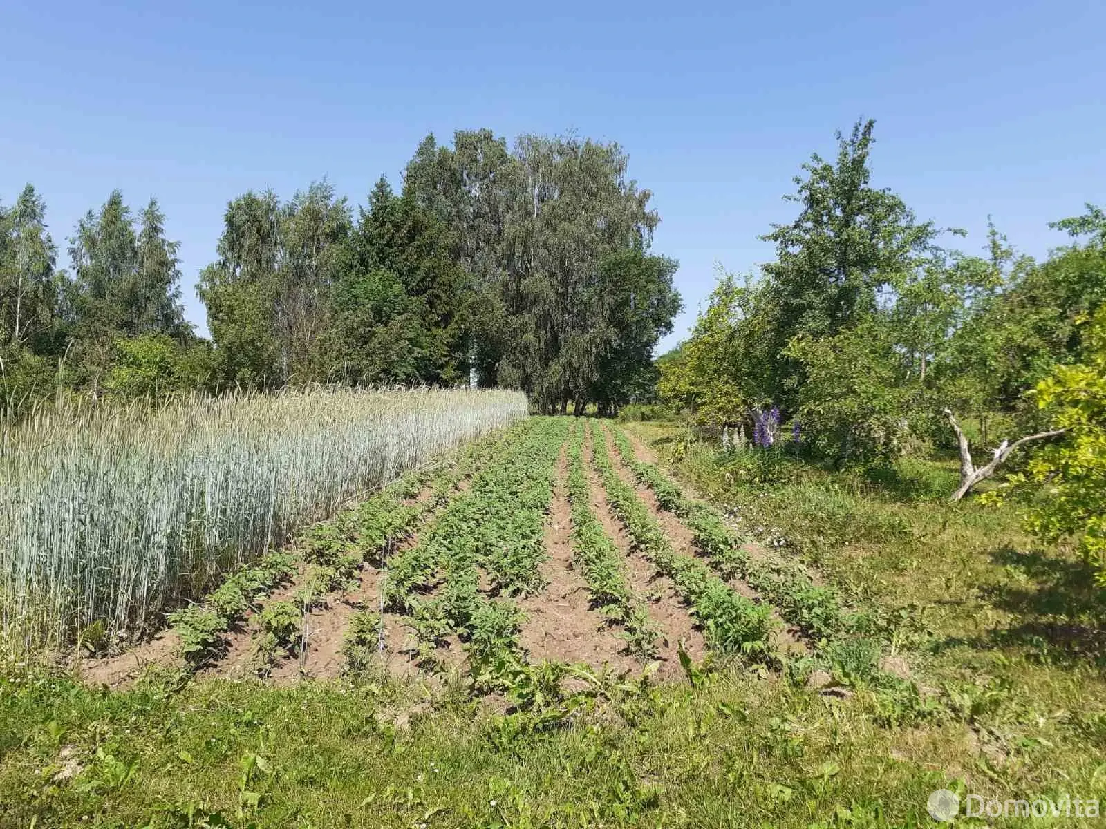 участок, Каверляны,