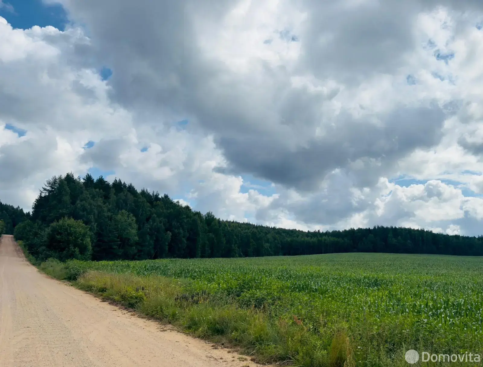 Продажа 1-этажной дачи в Минская область, 10900USD, код 185036 - фото 19