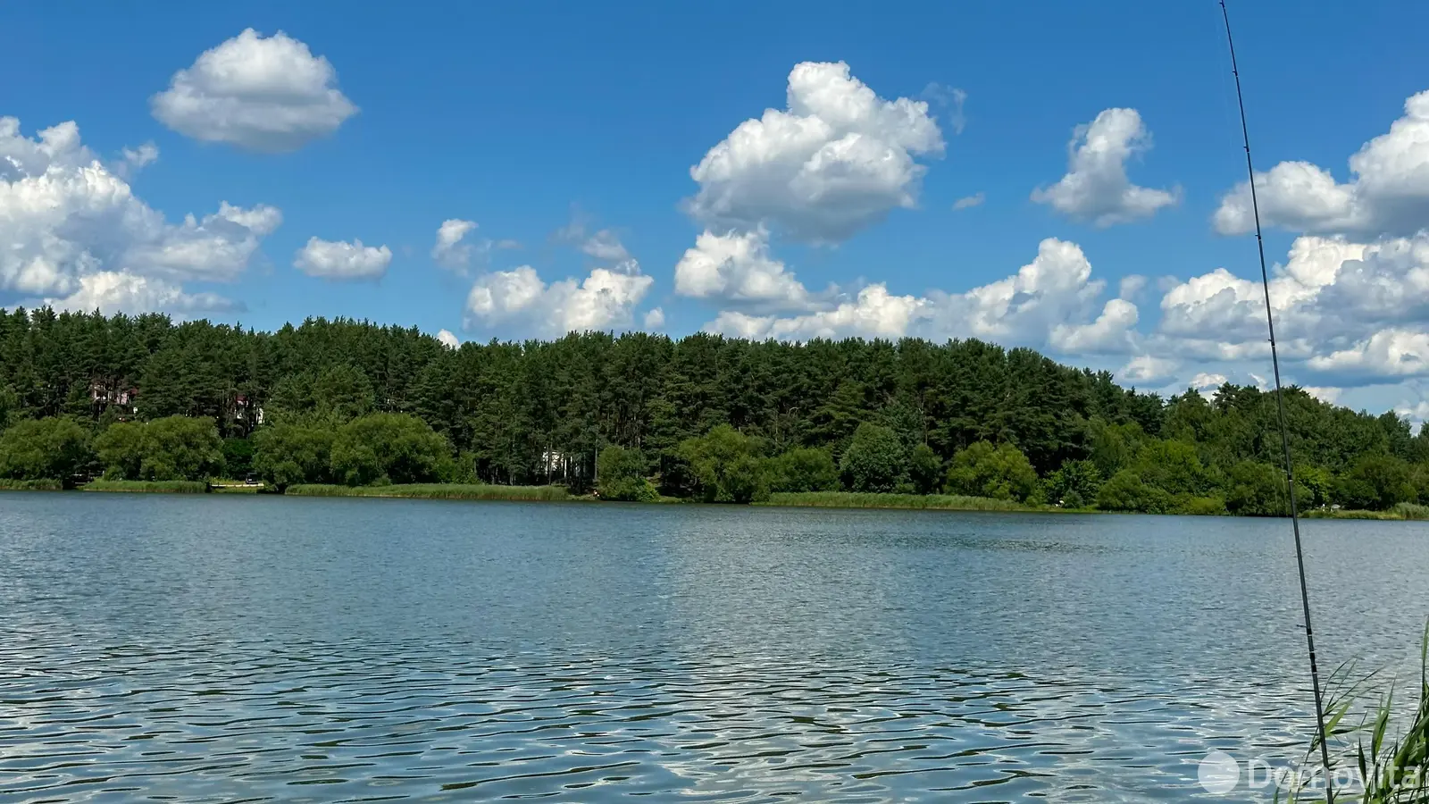 участок, Ждановичи, ул. Подлесная, д. 8