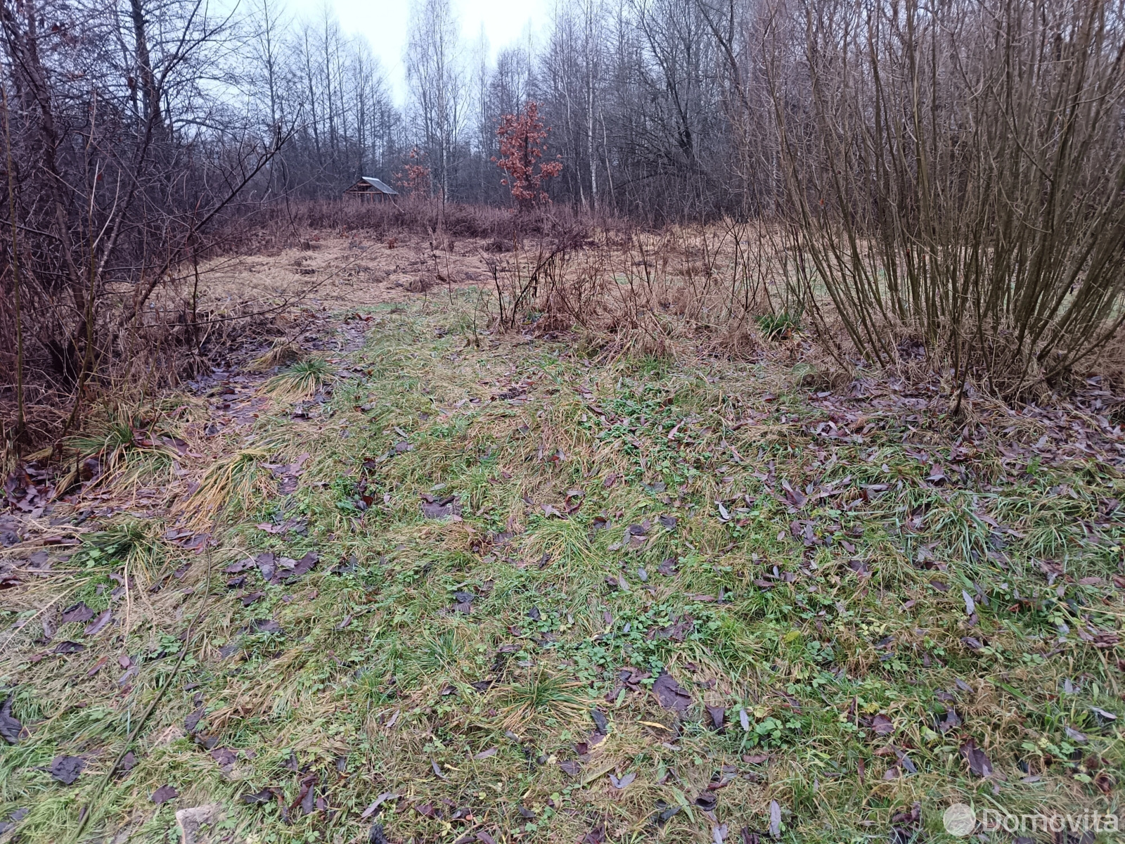 дача, Лука, ул. Речная без посредников