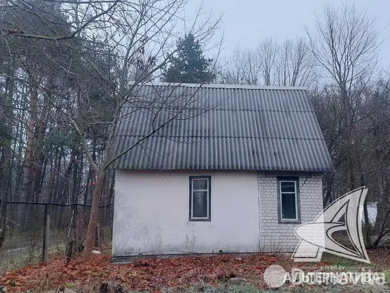 дача, Лесная поляна, 