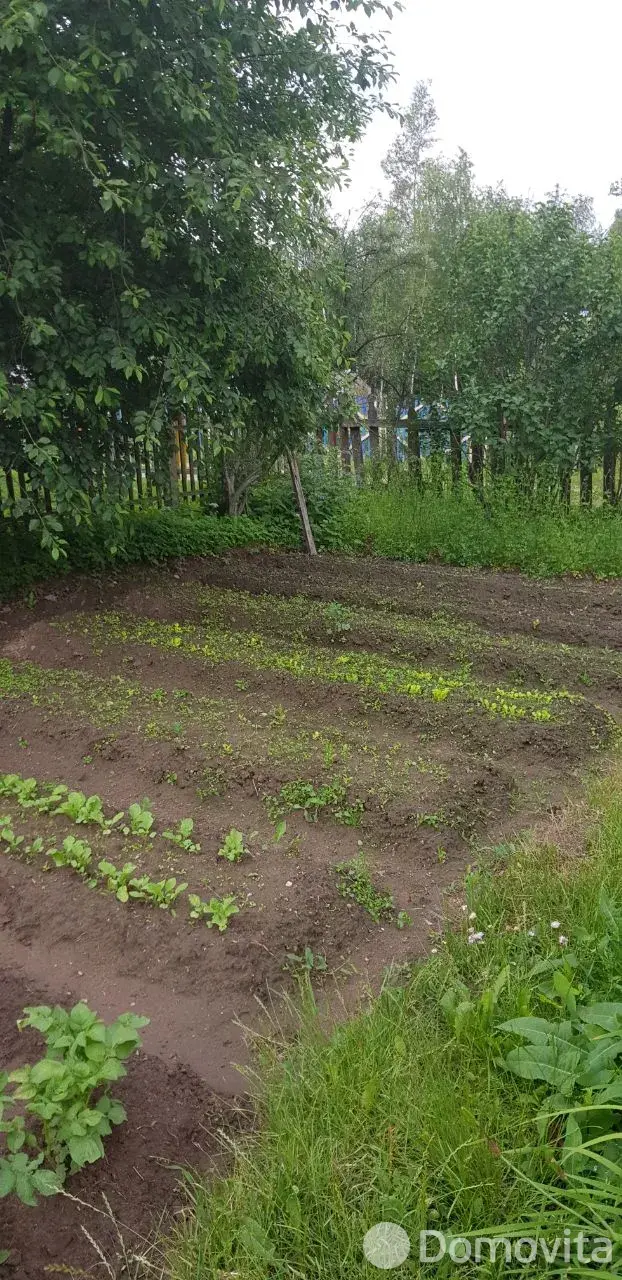 Купить земельный участок, 12 соток, Трикотаж, Витебская область, 3500USD, код 570321 - фото 26