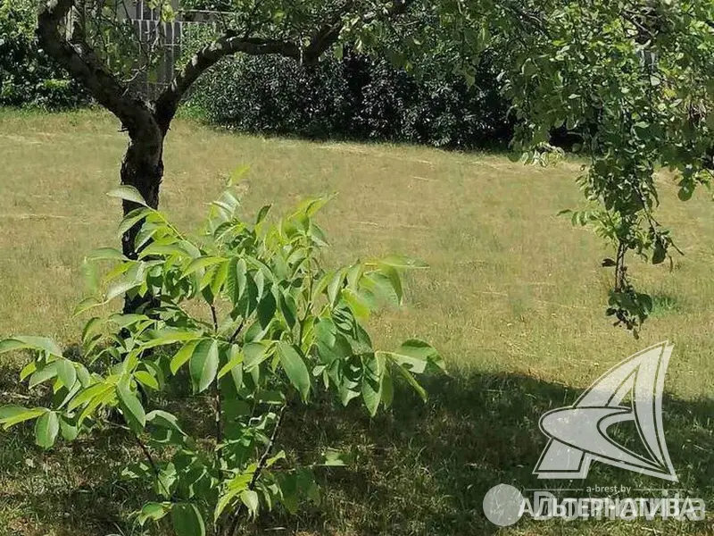 участок, Леснянка,