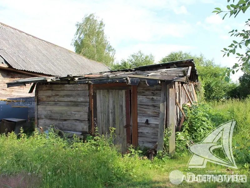 Купить земельный участок, 24.72 соток, Ставище, Брестская область, 10000USD, код 568697 - фото 14