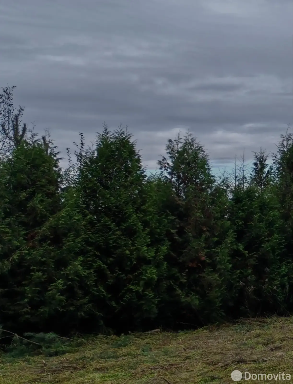 участок, Пекалин, ул. Нагорная, д. 28 