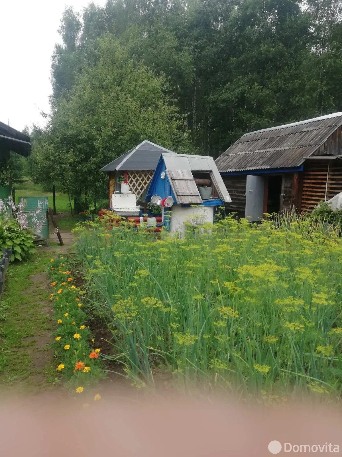 Продажа 1-этажной дачи в Подозерцах Витебская область, 3200USD, код 183910 - фото 13