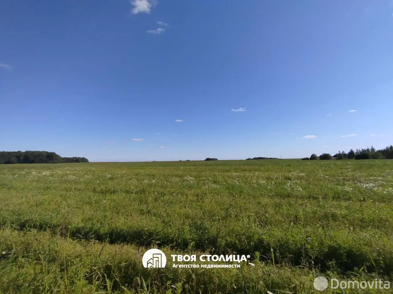 Купить земельный участок, 25 соток, Плашево, Минская область, 29000USD, код 571020 - фото 25