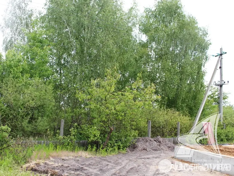 участок, Заря-94, 