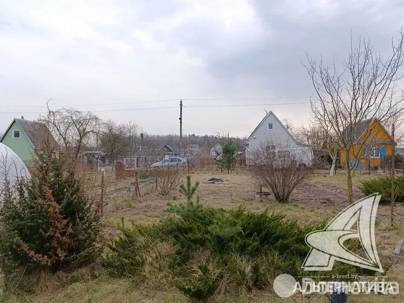 Купить 1-этажную дачу в Полянка-1 Брестская область, 10500USD, код 181984 - фото 12