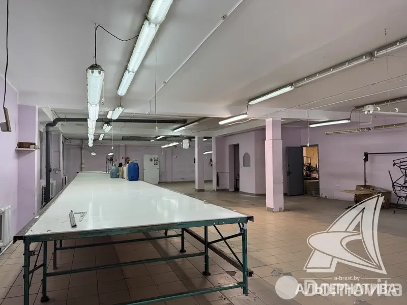 Купить помещение под сферу услуг в Бресте, - фото 2