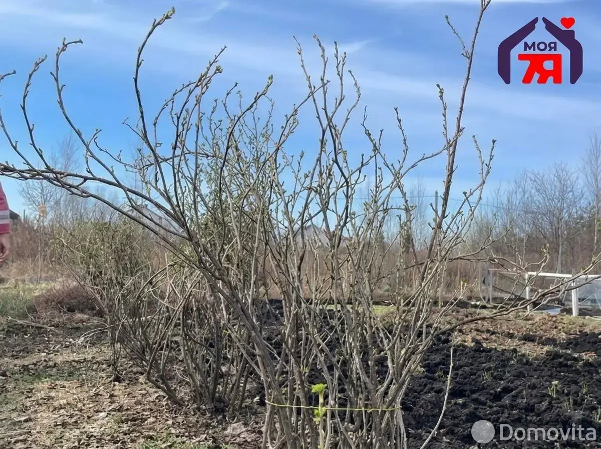 участок, Новые земли, - лучшее предложение