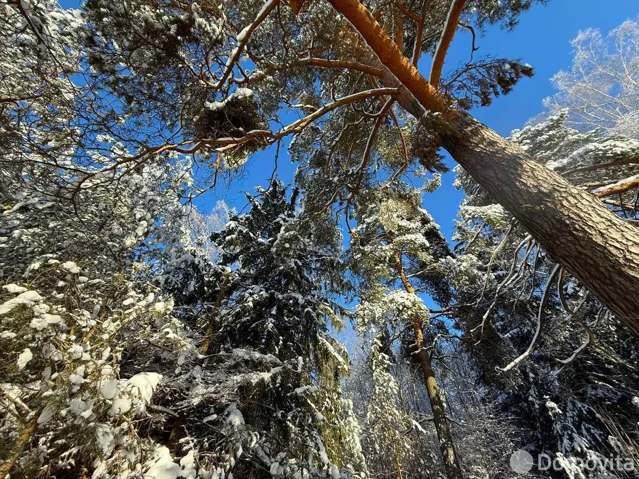 Купить земельный участок, 15 соток, Каралино, Минская область, 65000USD, код 571590 - фото 22