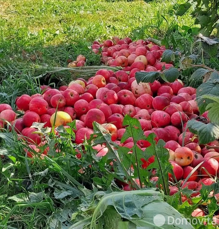 Цена продажи коттеджа, Шапуры, ул. Шистерова