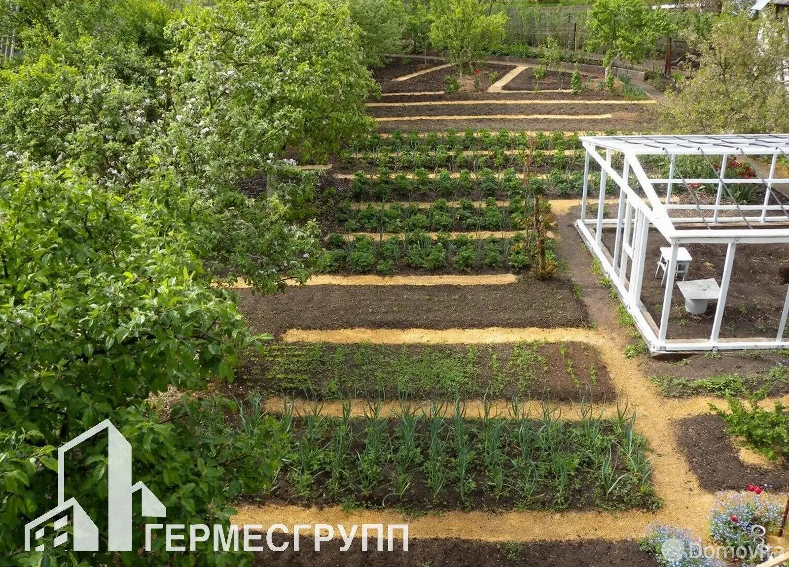 дом, Чисть, ул. Дружбы 