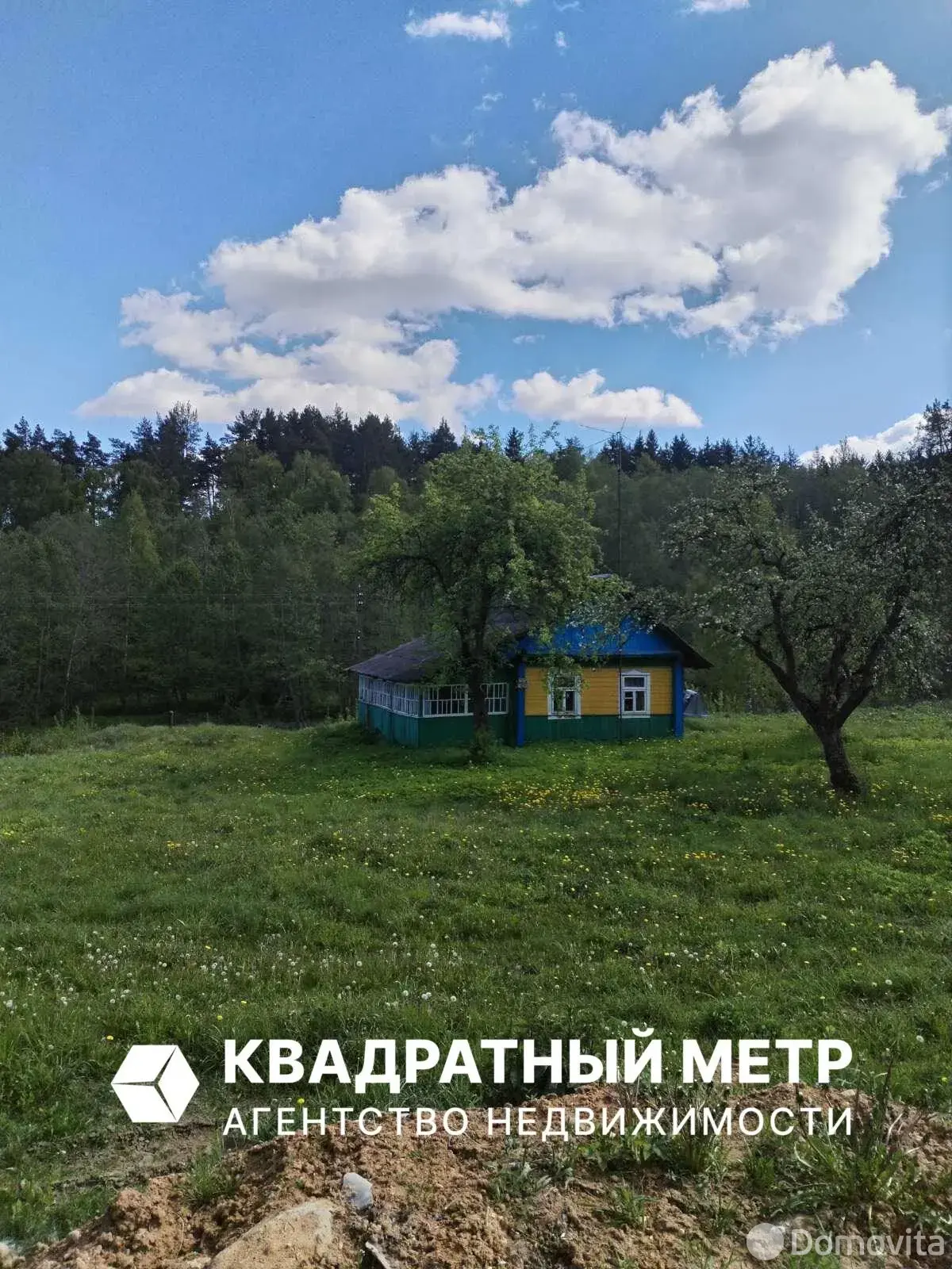 дом, Вязынка, ул. Гурновичи 