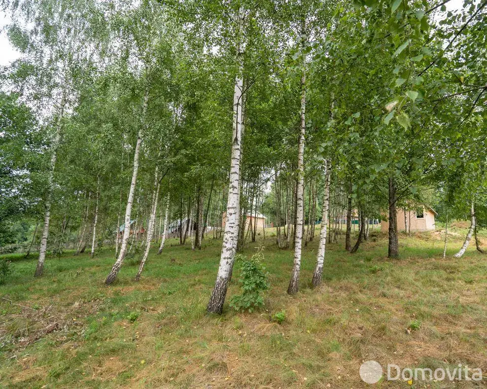 Купить земельный участок, 22.2 соток, Василевщина, Минская область, 23500USD, код 568917 - фото 16