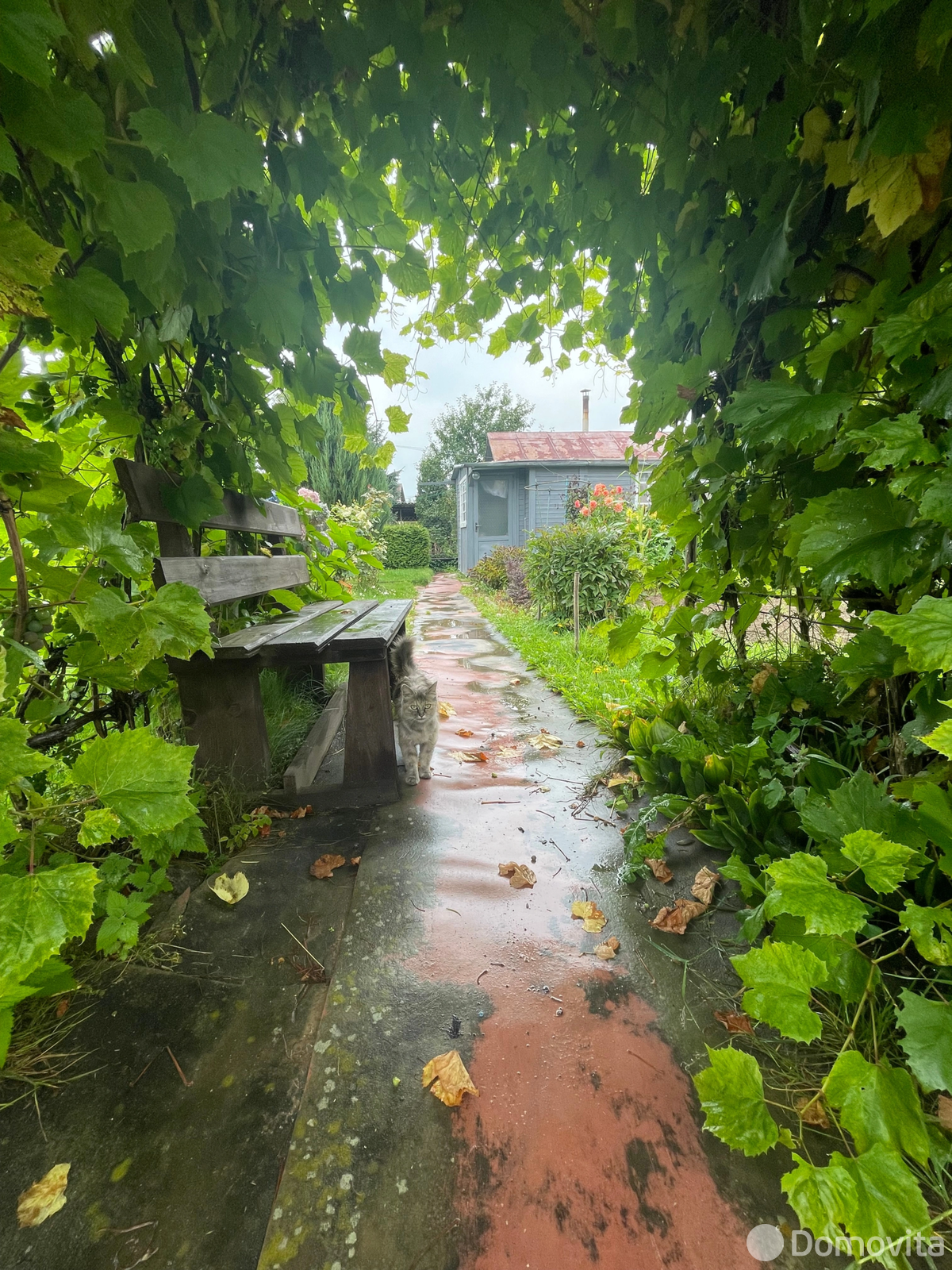 Продажа 1-этажной дачи в Колосок Минская область, 17000USD, код 184050 - фото 14