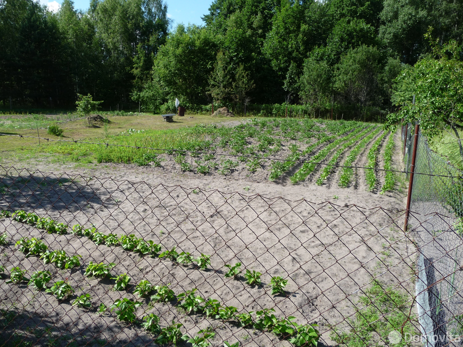 Стоимость продажи дачи, Сосновый Бор-2, 