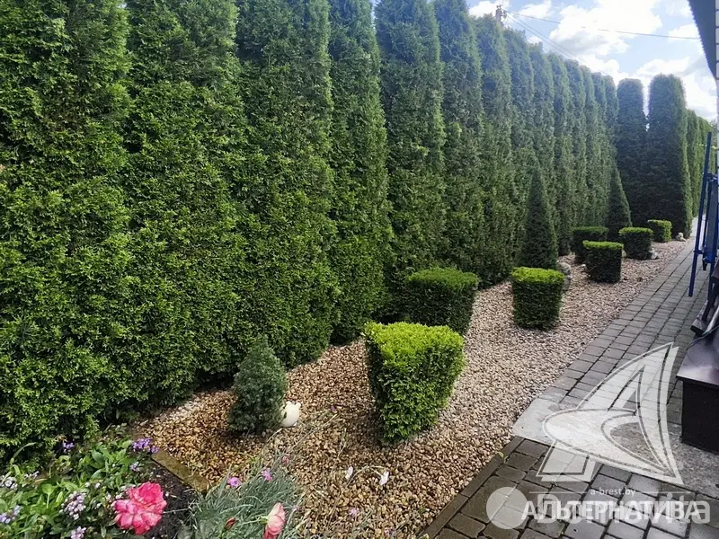 Продажа 1-этажной дачи в Машиностроитель Брестская область, 35000USD, код 183956 - фото 14