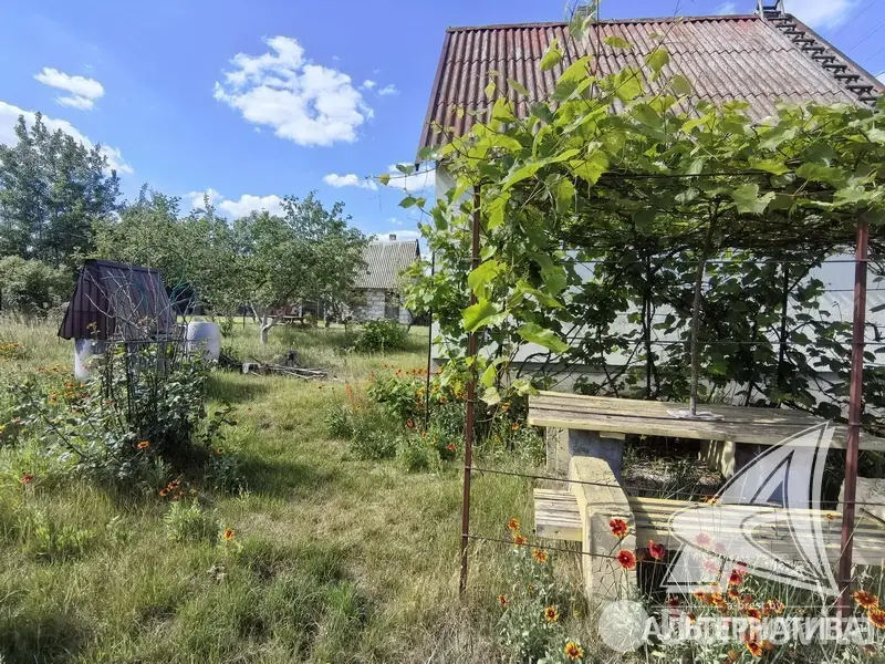 Купить 2-этажную дачу в Бресте Брестская область, 117600BYN, код 186250 - фото 35