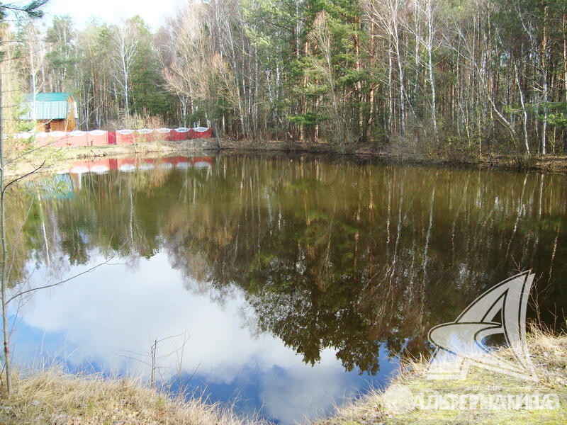 Продажа 2-этажной дачи в Лира-5 Брестская область, 12500USD, код 178113 - фото 11