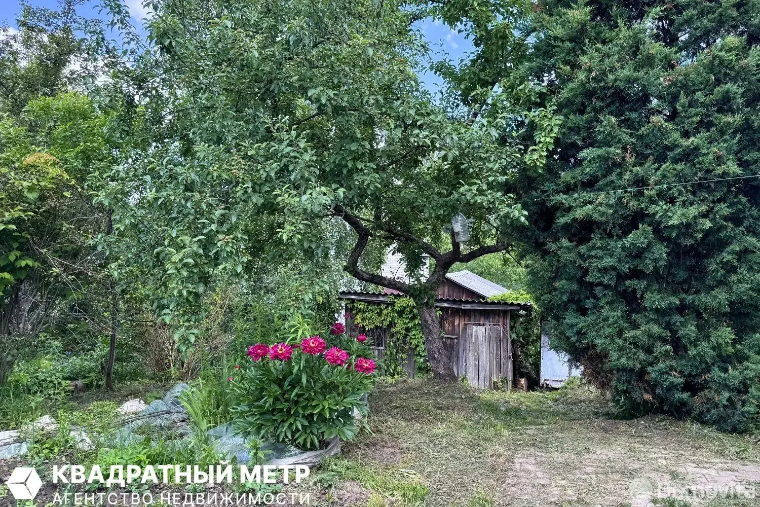дача, Черница, д. 288