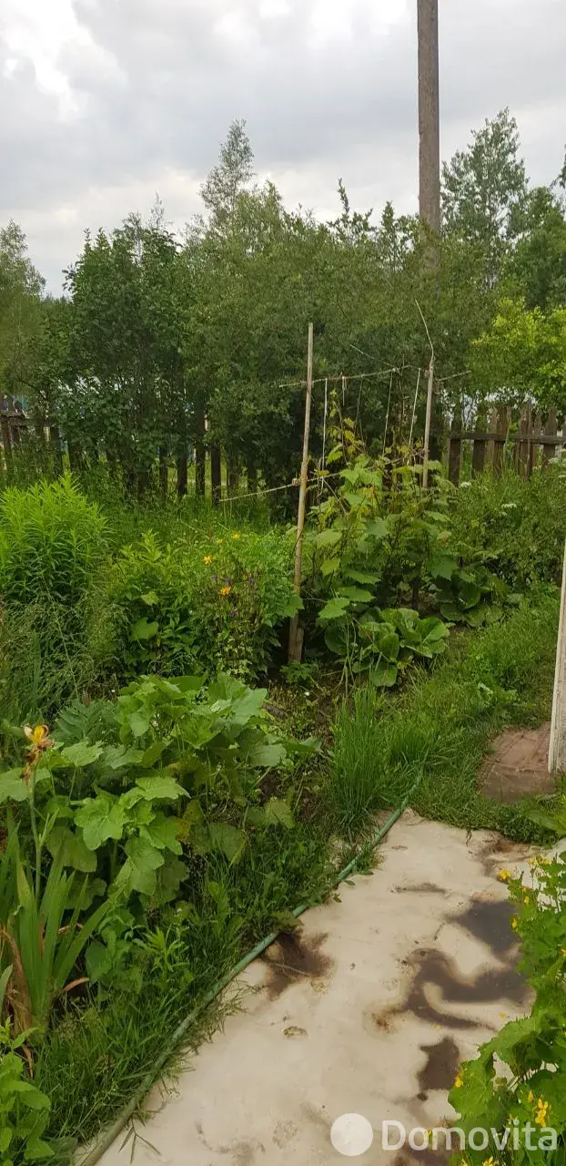 Купить земельный участок, 12 соток, Трикотаж, Витебская область, 3500USD, код 570321 - фото 29