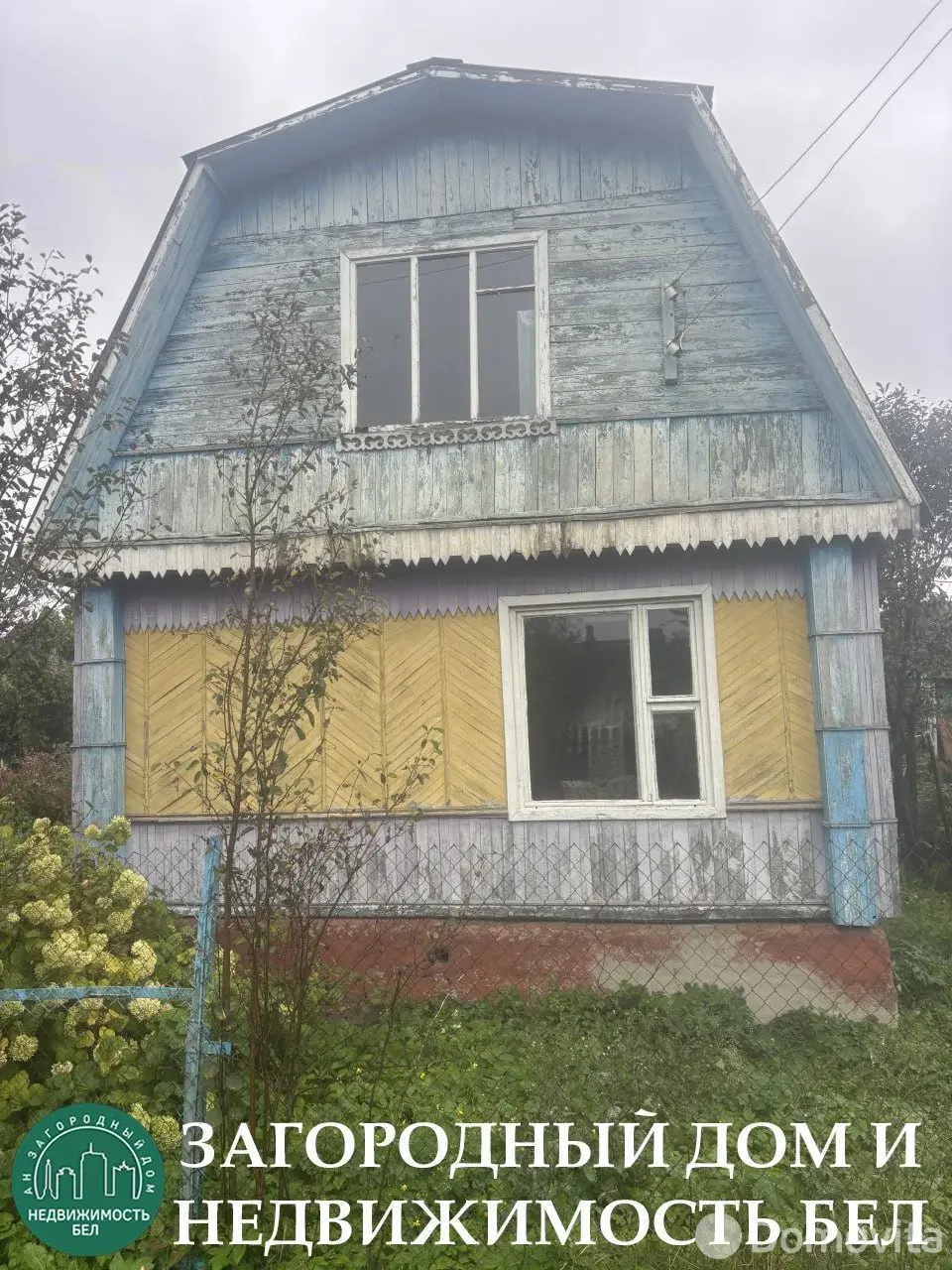дача, Шарик, 