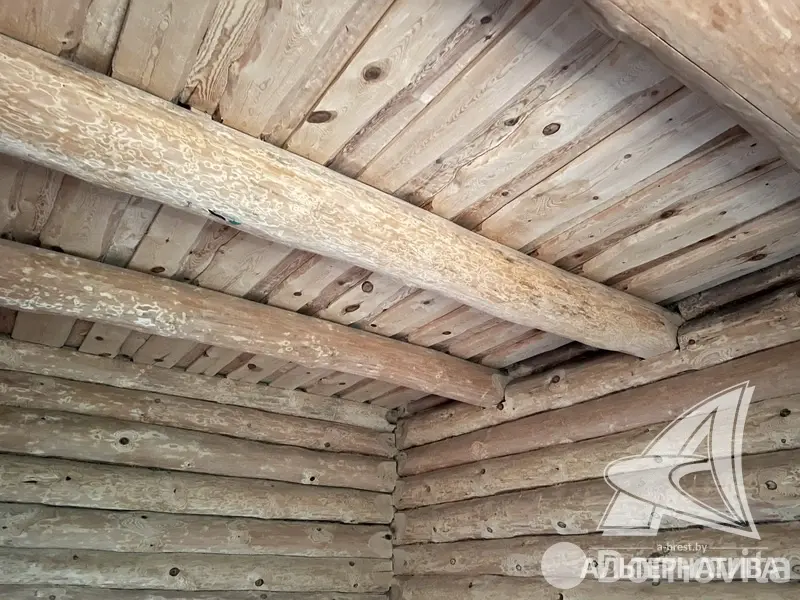 Купить 1-этажную дачу в Алеся-50 Брестская область, 31900USD, код 181350 - фото 16