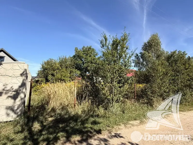 продажа участка, Урожай ОАО Брестхлебопродукт, 
