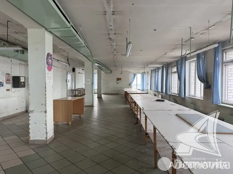Купить помещение под сферу услуг в Бресте, - фото 16