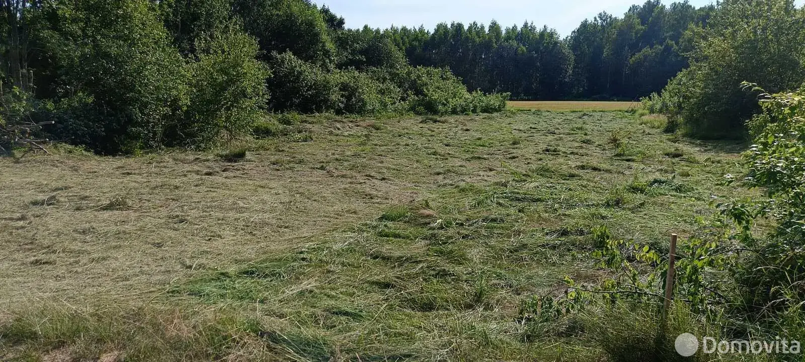 Купить земельный участок, 15 соток, Замостье, Минская область, 60000BYN, код 572581 - фото 2