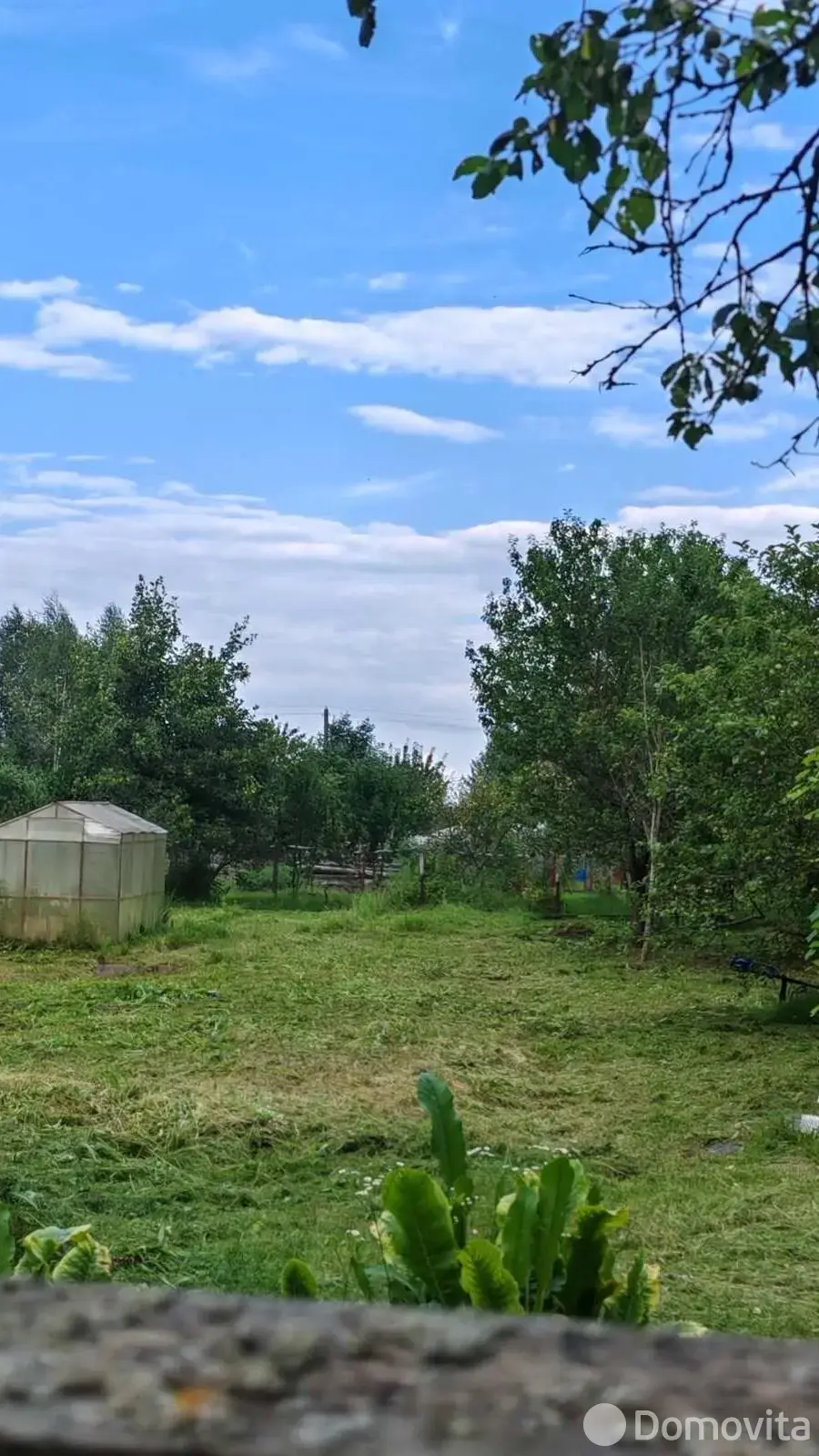 дача, Чайка-Замужанье, 