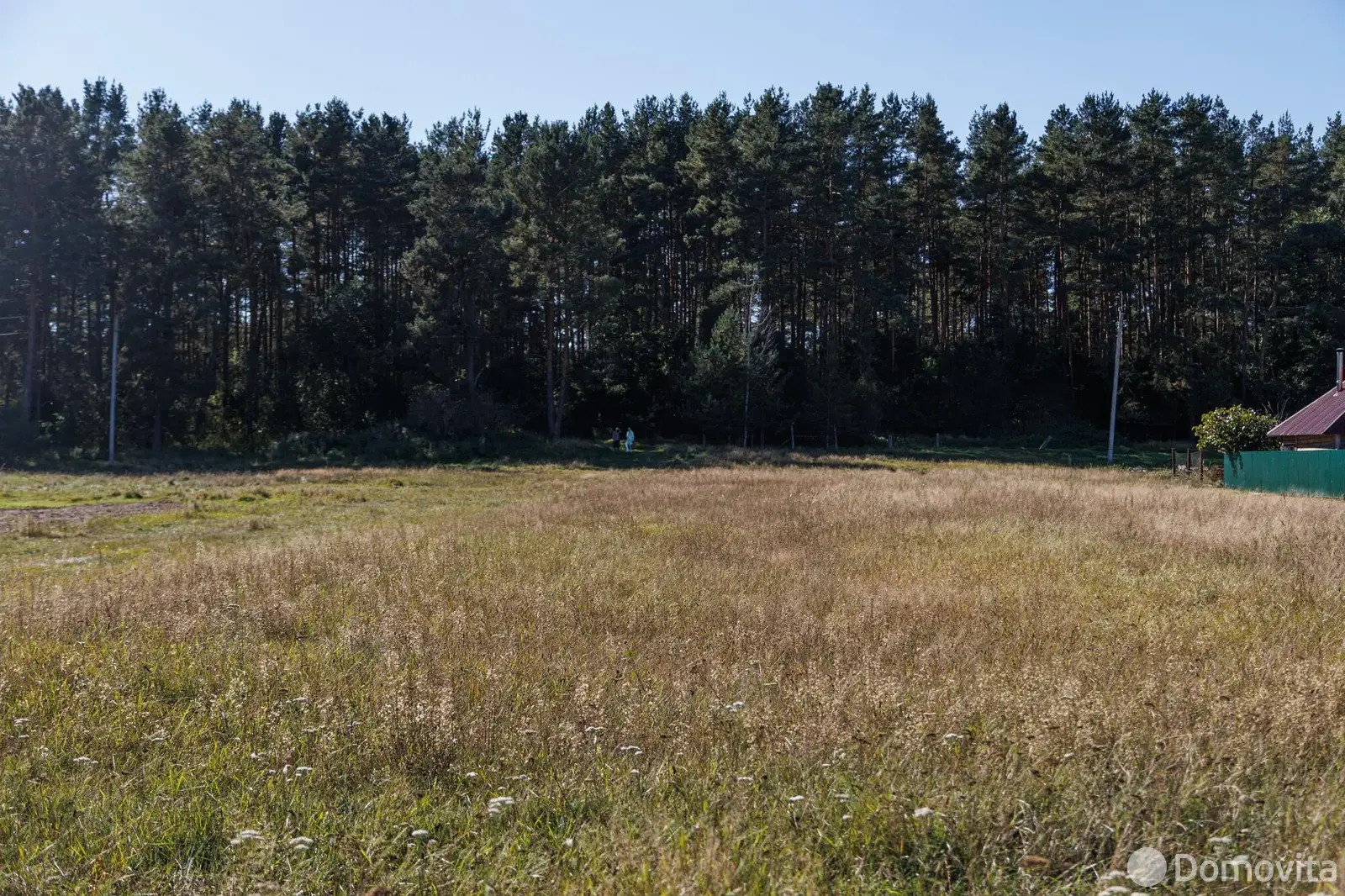 продажа участка, Гливин, ул. Лесная, д. 14