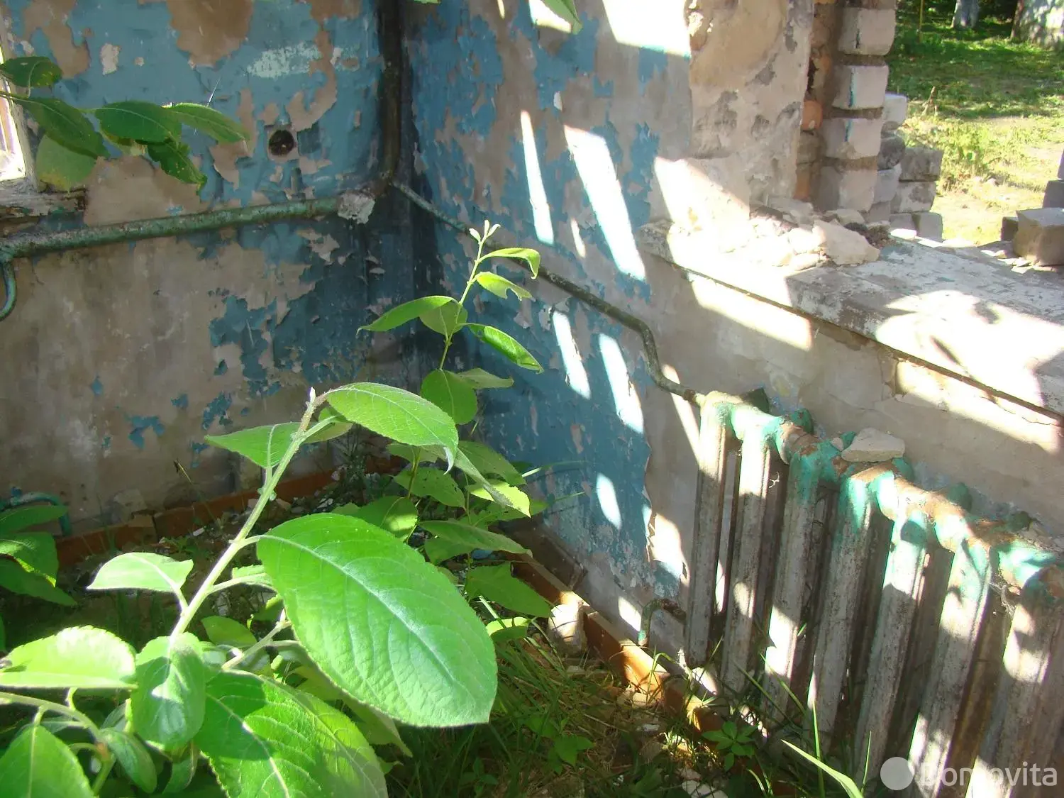 участок, Курково, ул. Песчаная, д. 3