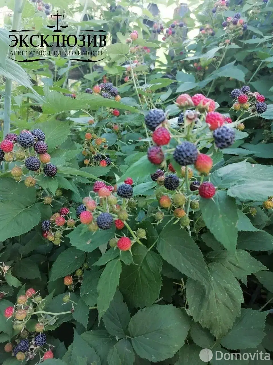 продажа дома, Пытьковка, ул. Дорожная, д. 18